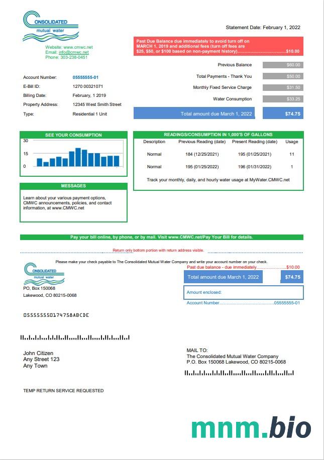 USA Consolidated Mutual Water rachunek za media template in Word i PDF format